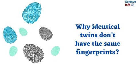 same fingerprints odds|Why Even Identical Twins Have Different Fingerprints.
